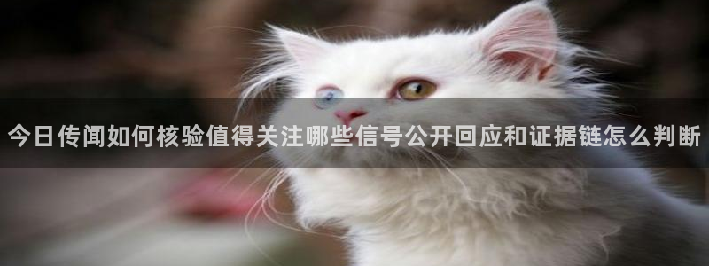 51吃瓜玩偶姐姐:今日传闻如何核验值得关注哪些信号公开回应和证据链怎么判断