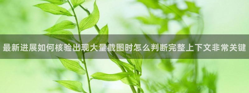 黑料吃瓜网:最新进展如何核验出现大量截图时怎么判断完整上下文非常关键