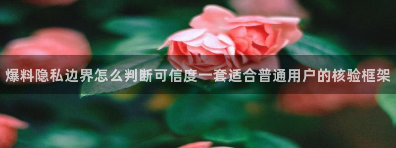 91吃瓜网址：爆料隐私边界怎么判断可信度一套适合普通用户的核验框架
