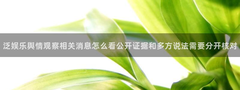 吃瓜王:泛娱乐舆情观察相关消息怎么看公开证据和多方说法需要分开核对