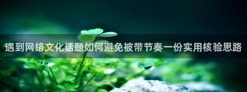 九一吃瓜：遇到网络文化话题如何避免被带节奏一份实用核验思路