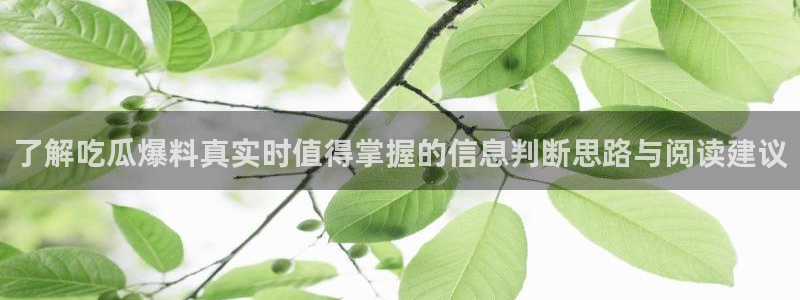 51吃瓜网页:了解吃瓜爆料真实时值得掌握的信息判断思路与阅读建议