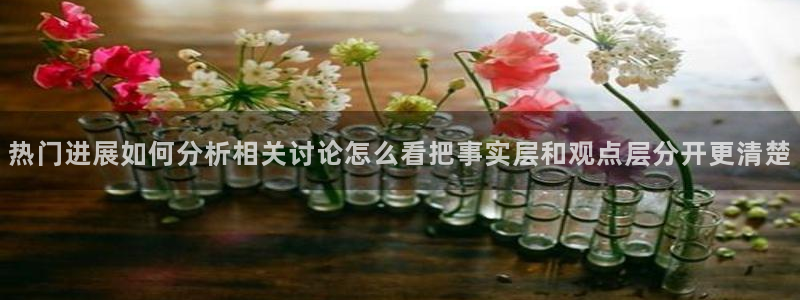 吃瓜最新事件爆料:热门进展如何分析相关讨论怎么看把事实层和观点层分开更清楚