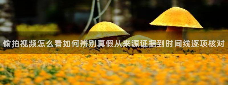 51吃瓜网页:偷拍视频怎么看如何辨别真假从来源证据到时间线逐项核对